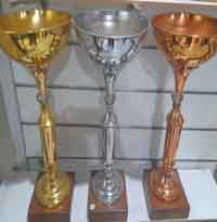 کاپ ورزشی کد 2